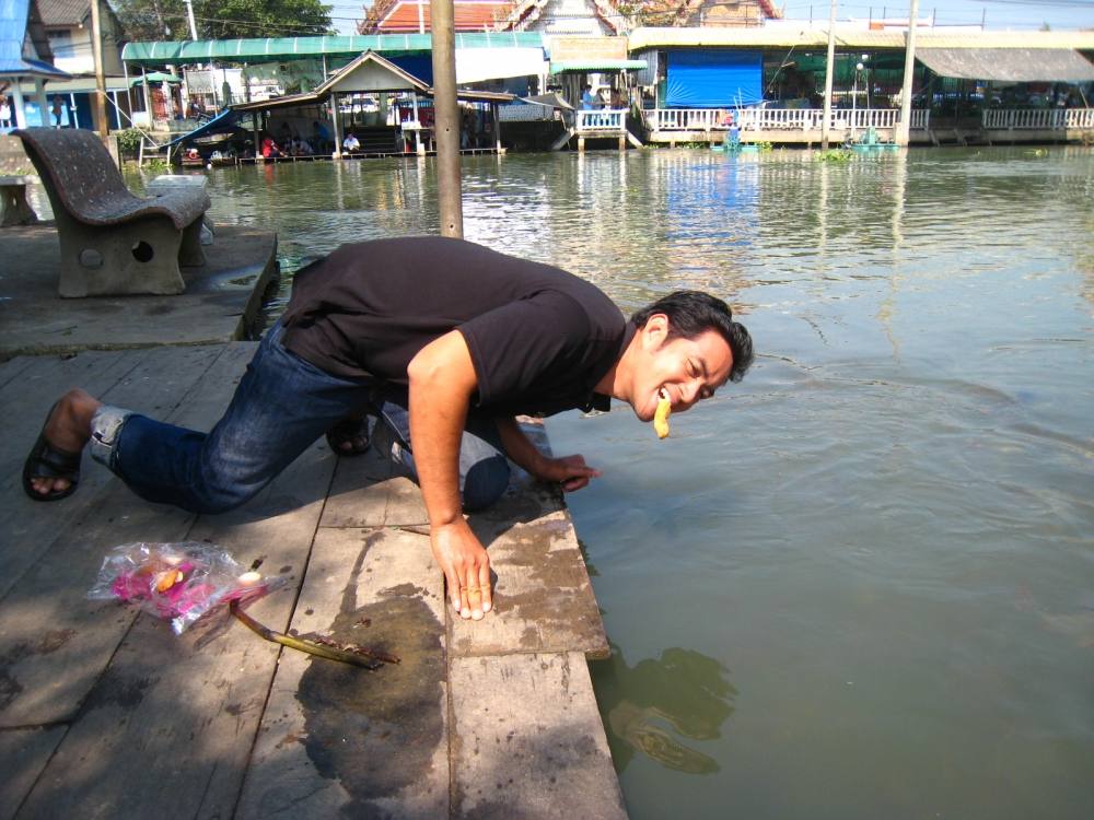 ...รุปสุดท้ายเเล้วกันครับน้า...ผมขอหยุดโชว์ เเต่ไม่ขอหยุดเข้ามาให้กำลังใจน้าๆๆๆๆๆนะครับ...น้าๆๆๆที่อ