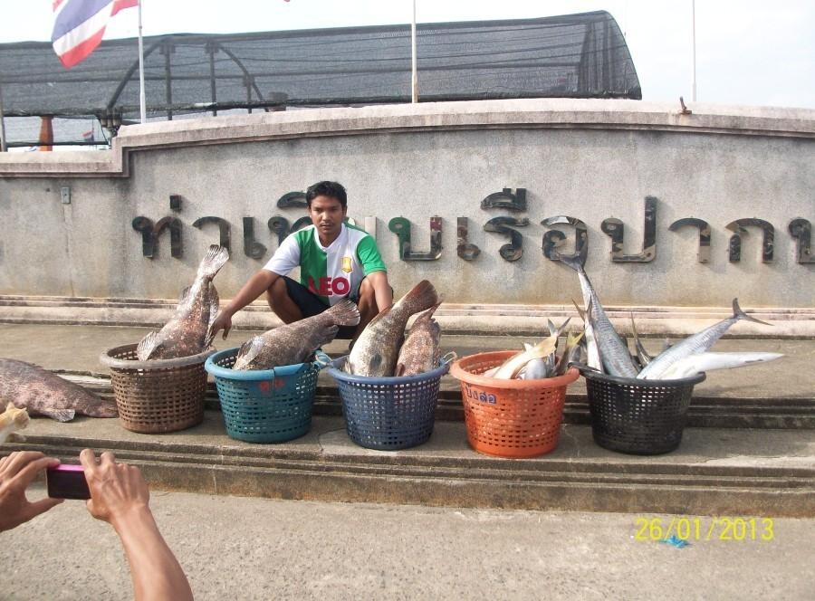 ปลารวมครับ :cheer: :cheer: :cheer: