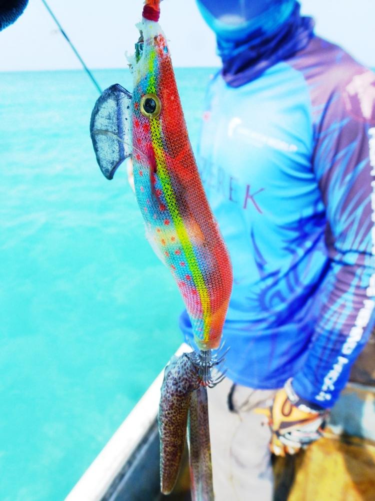 เหยื่อสีสวย