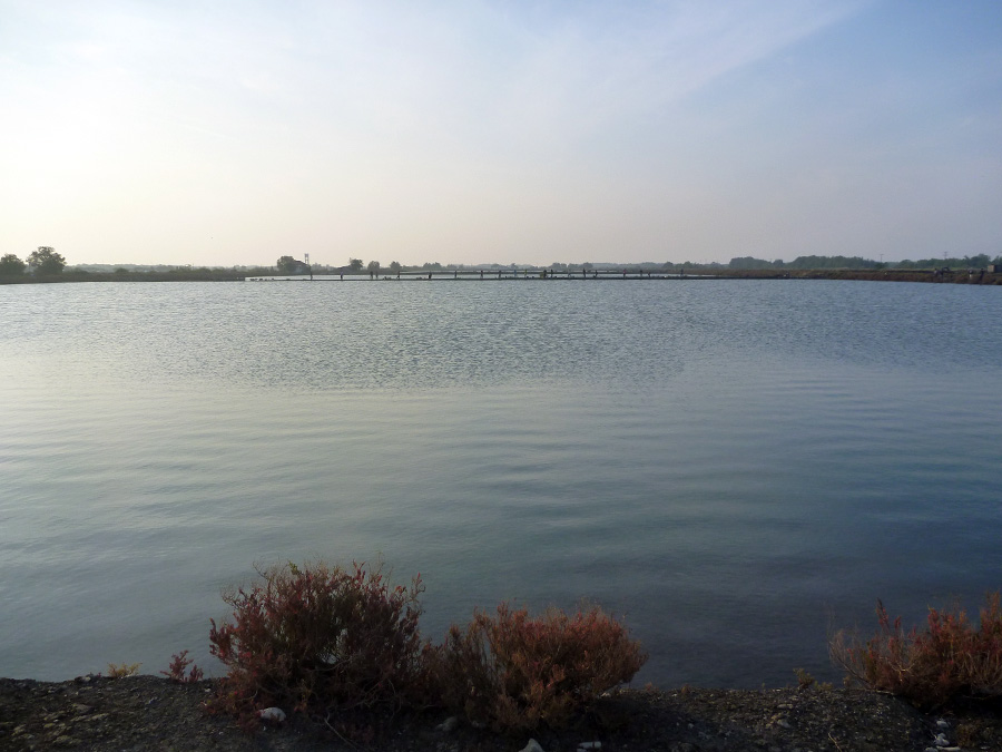  [center]22/12/2013[/center]
