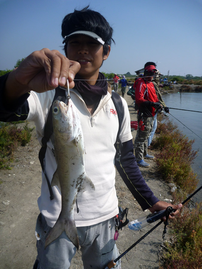  [center]22/12/2013 เม่นกับกุเรากัดจิ๊ก[/center]