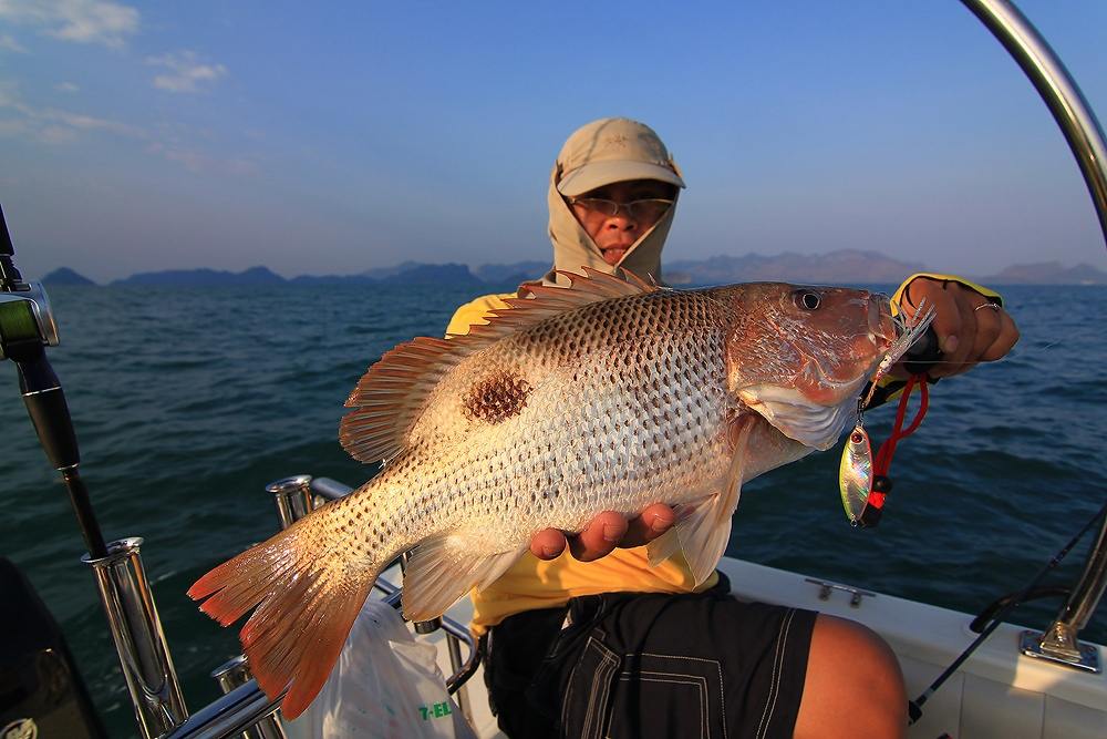 กับน้ามิกิ.....ที่ทริปนี้มาแรงจริงๆ.......
แบบว่า..ยึดหัวเรือเป็นที่ถ่ายแบบอยู่คนเดียว.....
 :laug