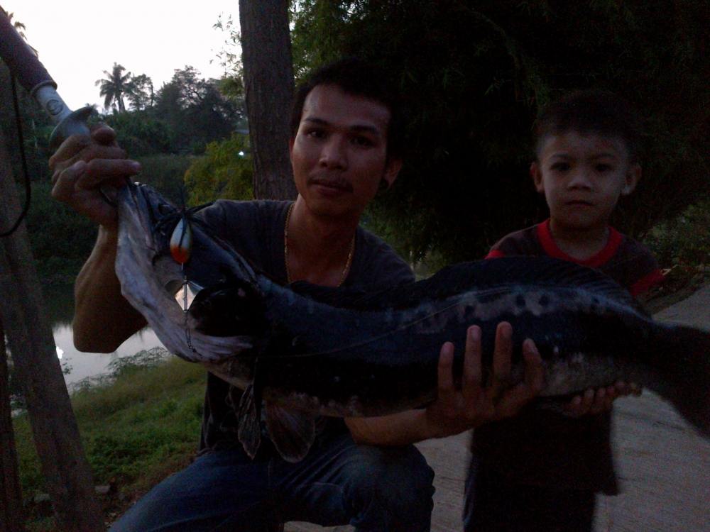 ลาด้วยภาพนี้นะครับ