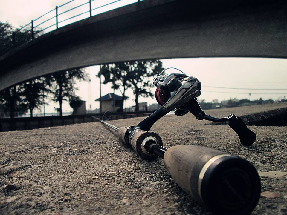 ลากันด้วยรูปนี้นะครับๆๆ น้ำเริ่มนิ่งปลหายหมดครับๆๆ
ขอบคุณน้าๆทุกท่านที่เค้ามาติดตามชมนะครับ