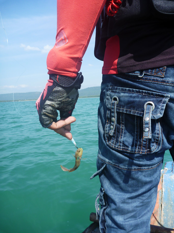  [center]บู่ทะเลครับ

บางที่เรียก บู่กุ้ง Shrimp Goby[/center]