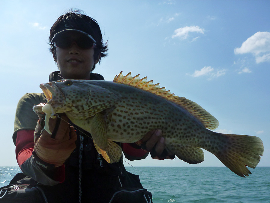  [center]เม่นเล่น Softbait เหยื่อยาง Z-Man ประกอบแบบ Texas Rig กระแทกตามกองหินถูกสวนวูบ

งัดอยู่พั