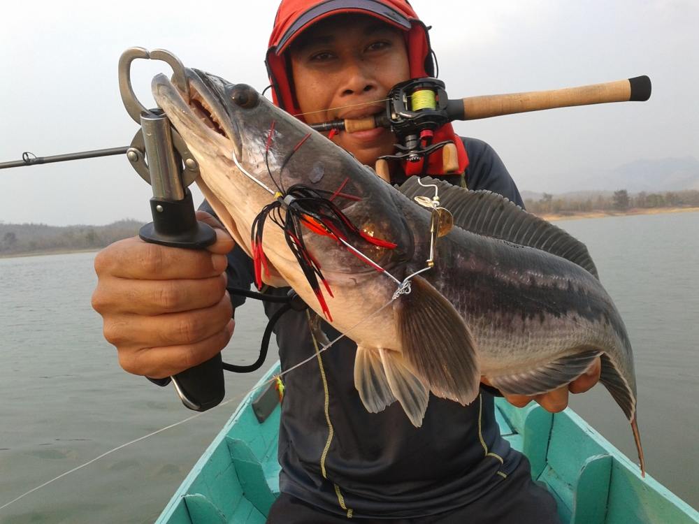 เคล็ดรับความสำเสร็จ  BUZZA   ของเขาดีจริง  (ถ้าหากข้อความนี้คิดว่าเป็นการโฆษณา ผมต้องขอโทษไว้นะที่นี