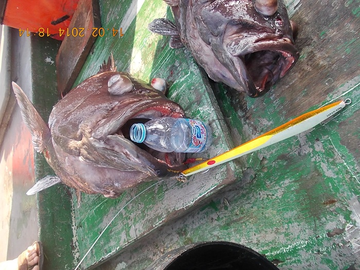 

..............ไม่มีคำบรรยาย  (ไปซะ 5 คำ) :tongue: :tongue: :tongue: