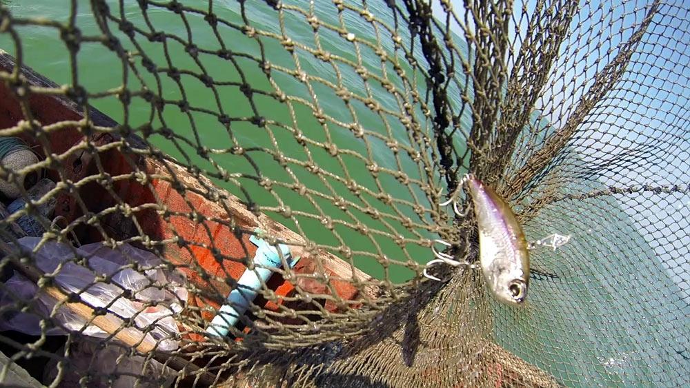  [center]DUO Realis Vibration[/center]