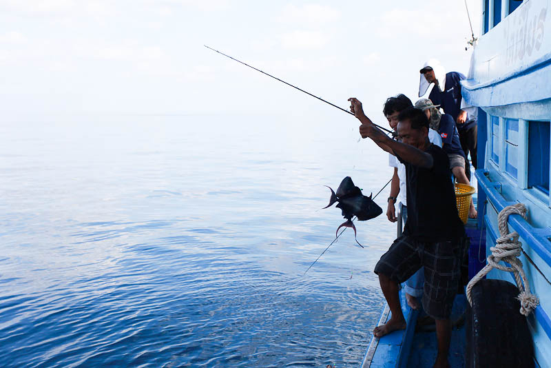 [b]ระดับน้ำที่ 40-50M สบายครับ เอาขึ้นไวไม่เหนื่อย หลังจากเมื่อคืนจัดหนักมาซะปวดแขนกันเลยทีเดียว[/b]