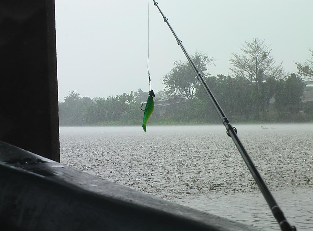แล้วแล้วฝนก็ตกลงมา ลาด้วย ภาพนี้ครับ