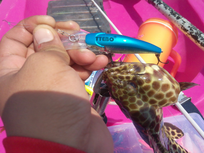                                                                             LURE : TTEBO  S-WIN60D  