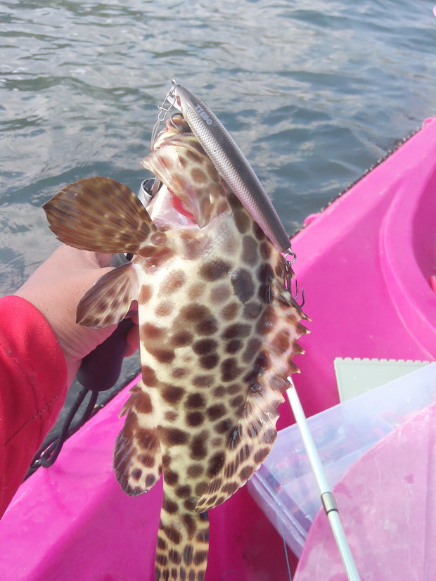                                                                                       LURE : TTEBO  