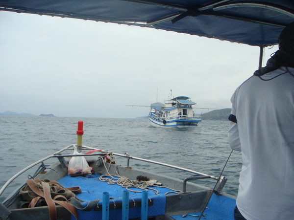 สักพัก เรือตกปลา ลำใหญ่ก้อเข้ามา จอดในหมายเดียวกัน (เรือไต๋ สมชาย ครับ ) พาแขกมาตกปลา เหมือนกัน
 :c