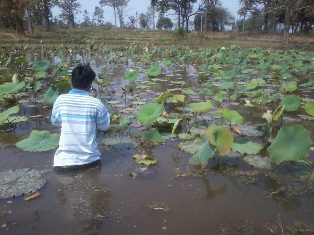 ตามไปดูครับ.... :love: :love: :love: