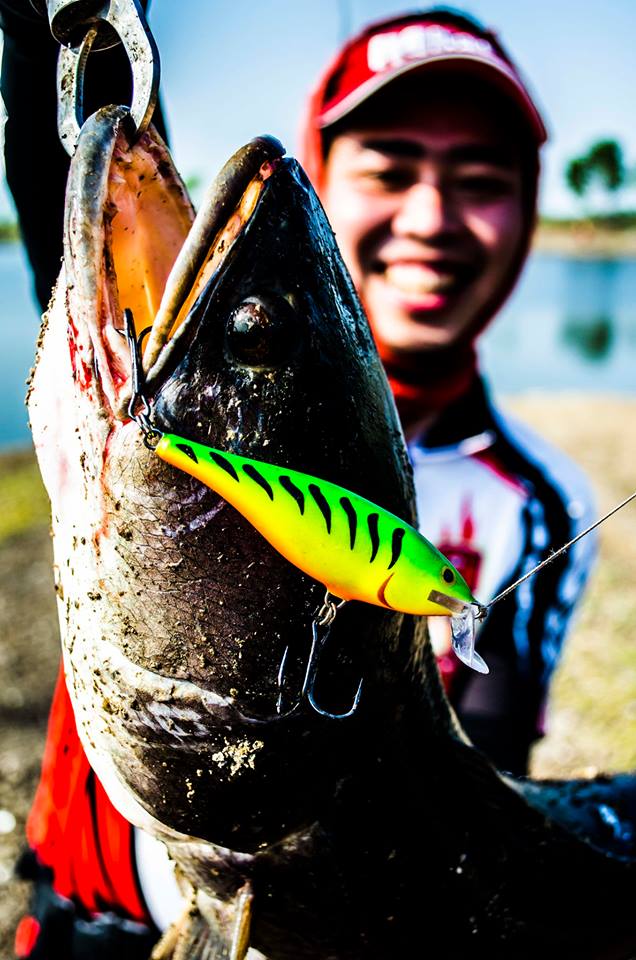 

 [center]บอกแล้วว่าตัวเบ็ดของ...  [b]Mustad [/b] ...ใช้แล้วไม่ผิดหวังจริงๆ


 :love: :love: :