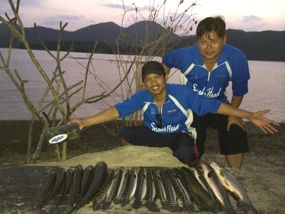 SnakeHead Angler Club แก่งกระจาน งัด ก ร ะ จ า ย  