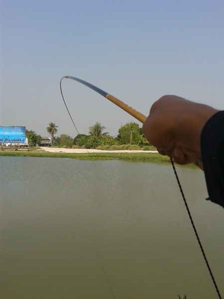 เข้าต่อเนื่องเรื่อยๆ ครับ
