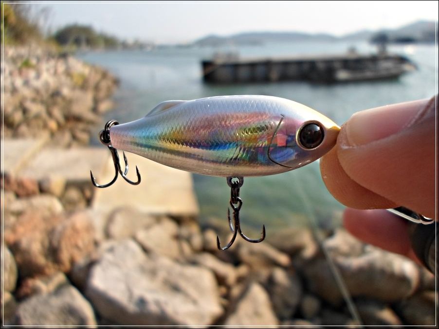 
 [center]แกะกล่องใช้เลย  

[b]Tackle House - SHORES Sinking Pool Shad 41mm 4g [/b]สีสลิ่ม[/cente