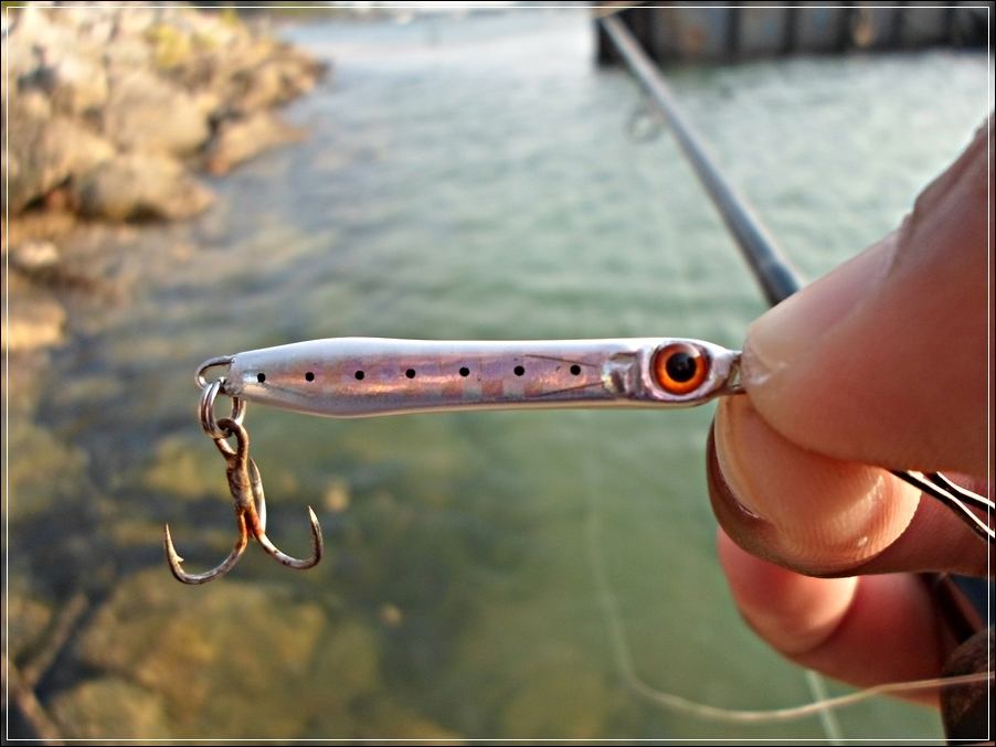 
 [center]เปลี่ยนหนักขึ้นมาอีกนิดเป็น  

[b]Tackle House Micro Jig ขนาด 6 g[/b][/center]

