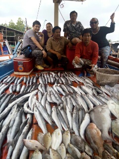 [q][i]อ้างถึง: duckwinduck posted: 26-02-2557, 11:44:16[/i]

+++ :grin: :grin: :grin:[/q]


ขอบ