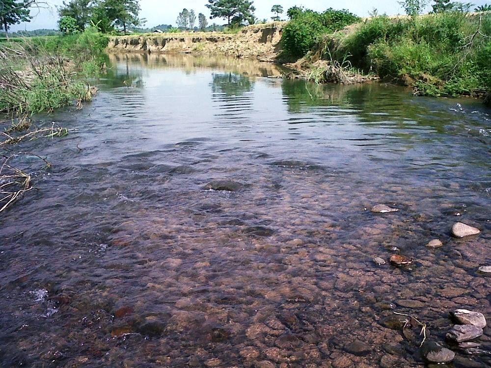 ลำธารที่เปลี่ยนไป Nan Stream fishing