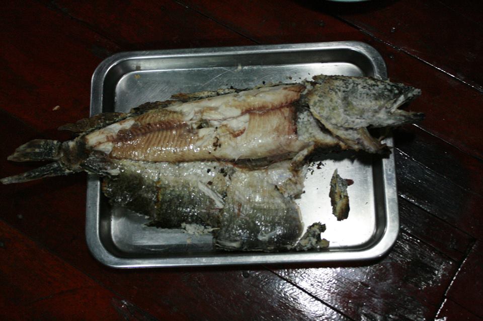                                                                               ปลาเผาตามสั่งจร้า


