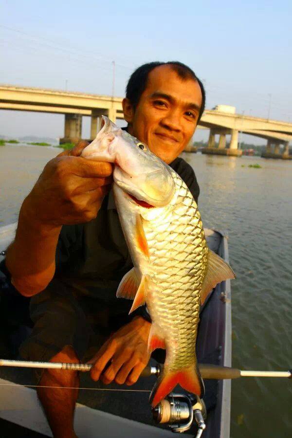 การจากไปของ bicbass  รับให้สบายนะเพื่อน 