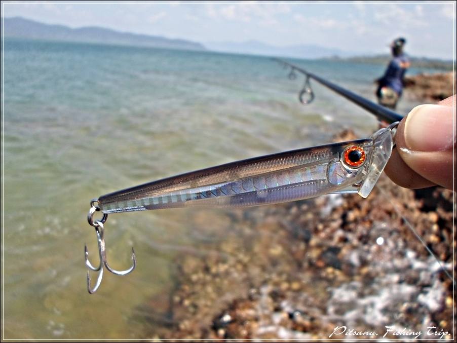 
 [center]เปลี่ยนเหยื่อดูบ้าง[/center]

 [center] [b]Lure : Tackle House intermidiate Minnow int 