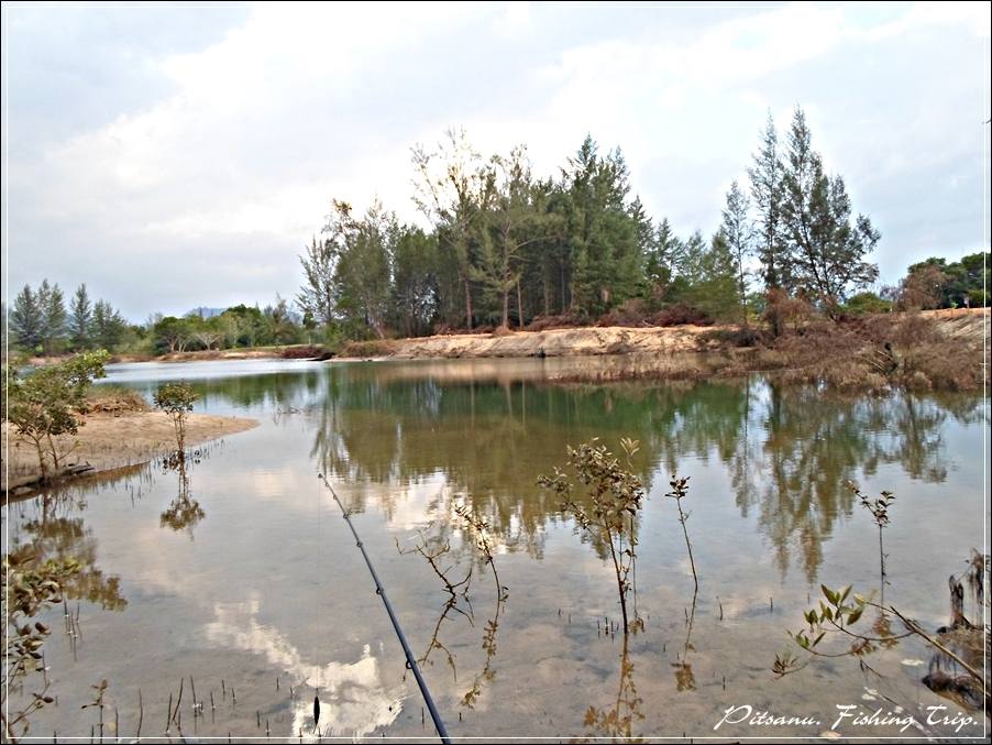 
 [center]ต้องเดินตัด ลัดเลอะเข้าป่า มาตกใน.....ขุมเหมือง[/center]

