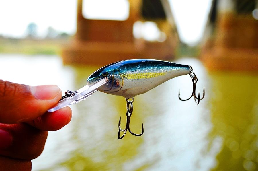 
 [center]ใช้ดีมากมือปลาแม่น้ำเชื่อว่าต้องมีติดกล้องกันทุกคน ...[b]Lure : RAPALA Shad rap ALB 5 cm.