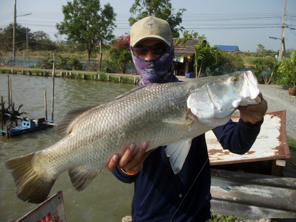 หนุ่มสุพรรณฯ มาหาความหมาย.... ณ บางปะกง