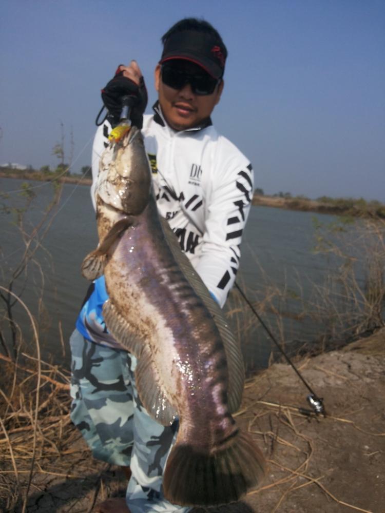น้องโทนจัดมาอีก 1 ตัว