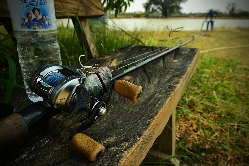 Rod: Graphifeleades Bosco 10-20 6'9
Reel: Alphas R-Edition
Luvr :Handmead 9 cm. Credit by pomDD
