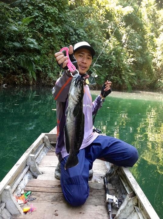 ++++น้าสมLF โดนชะโดถ่านอีกตัวครับจากเหยื่อ Prodigy Buzzbait M ll  by Luresfactory+++++++
+++Hot จิง