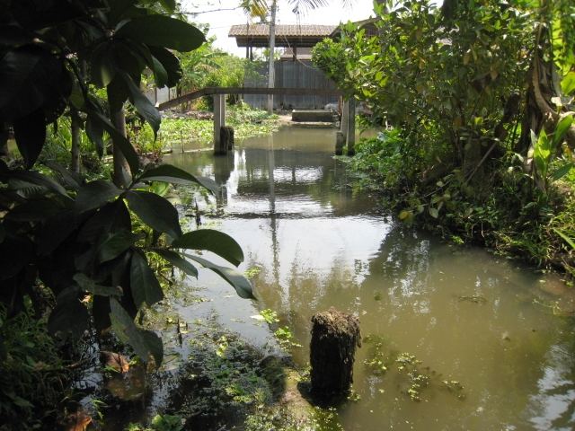 ...มาต่อกันอีกหมาย เป้นคลองเล็กๆข้างบ้าน ที่เอาใว้เก็บเรือ...ไม่เคยได้ตัว เเต่ก็ลองประจำ... :grin: :