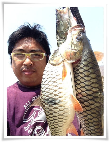 เริ่มเป็นพวง