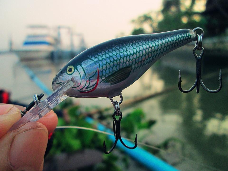 น้ำไม่ลึกมาก หินก็เยอะ 555+
ผมฝช้ เจ้าตัวนี้ครับ 


Rapala Shad Rap SR 4 HSH 

 :cheer: :cheer