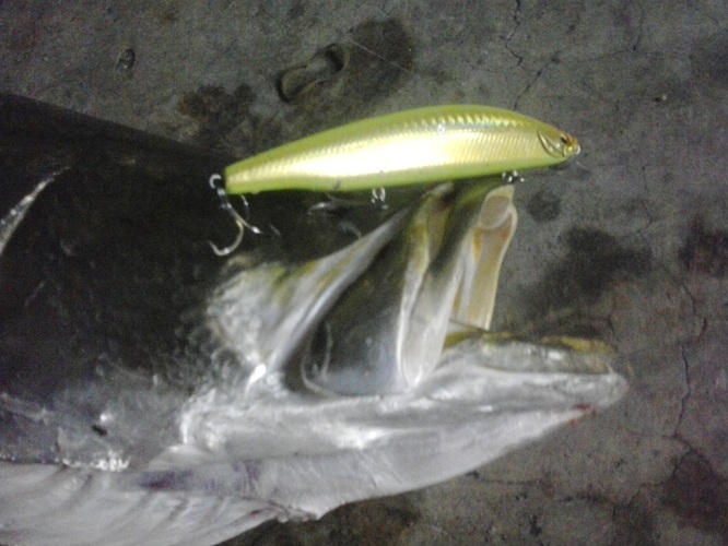 ของเค้าดีจริงๆ 