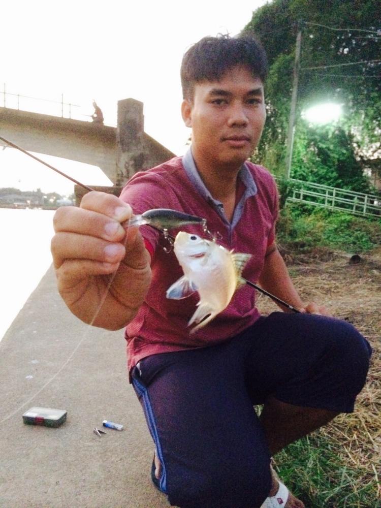 ปลาแป้นกระจกปลาอีกชนิดที่กัดเหยื่อปลอม ฝีมือน้องเต๋ จากเหยื่อShad Rap 4cm ตัวเดิม :smile: