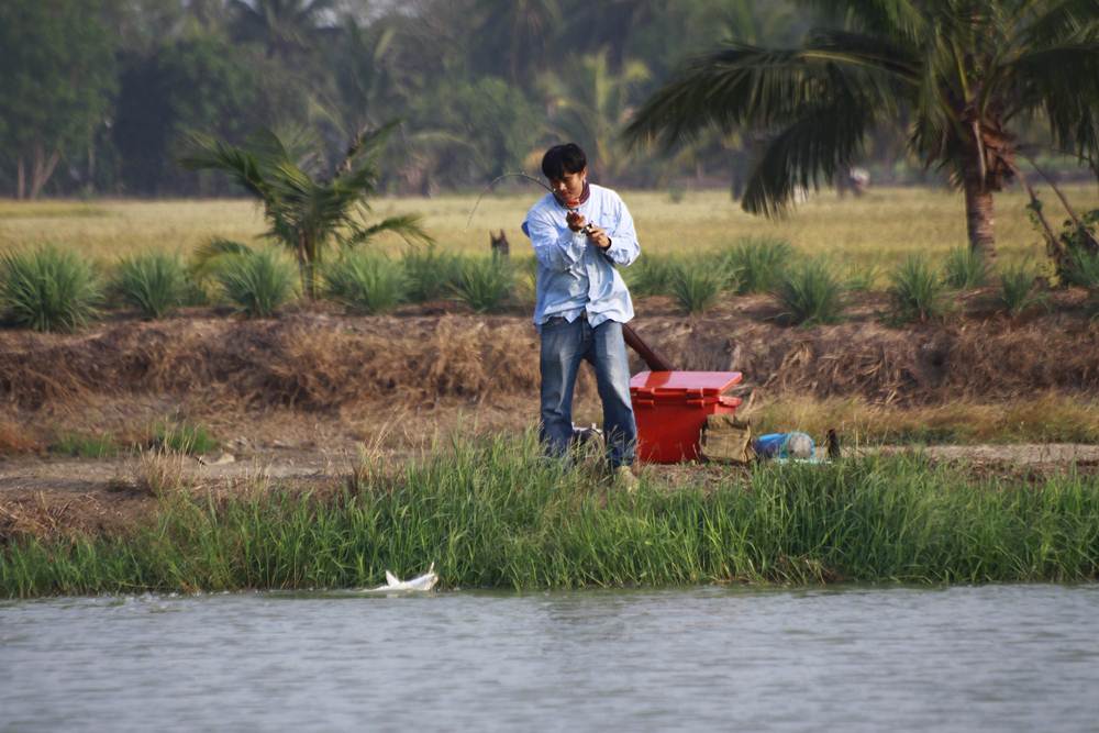 โดนกันทั่ว