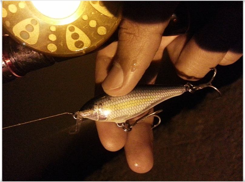 

 [center]แม่น้ำต้องตัวนี้เลยเทพสุดๆ RAPALA SHAD RAP (ALB) 5เซน ไม่เคยพลาด[/center] :grin: :grin: