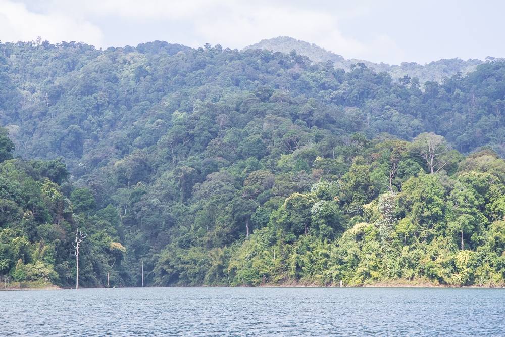  [b][center]เราต้องใช้เวลาบนเรือใหญ่ ประมาณ 2 ชั่วโมงครับ ช่วงนี้เราชมวิวสองข้างทางไปเรื่องๆ[/center