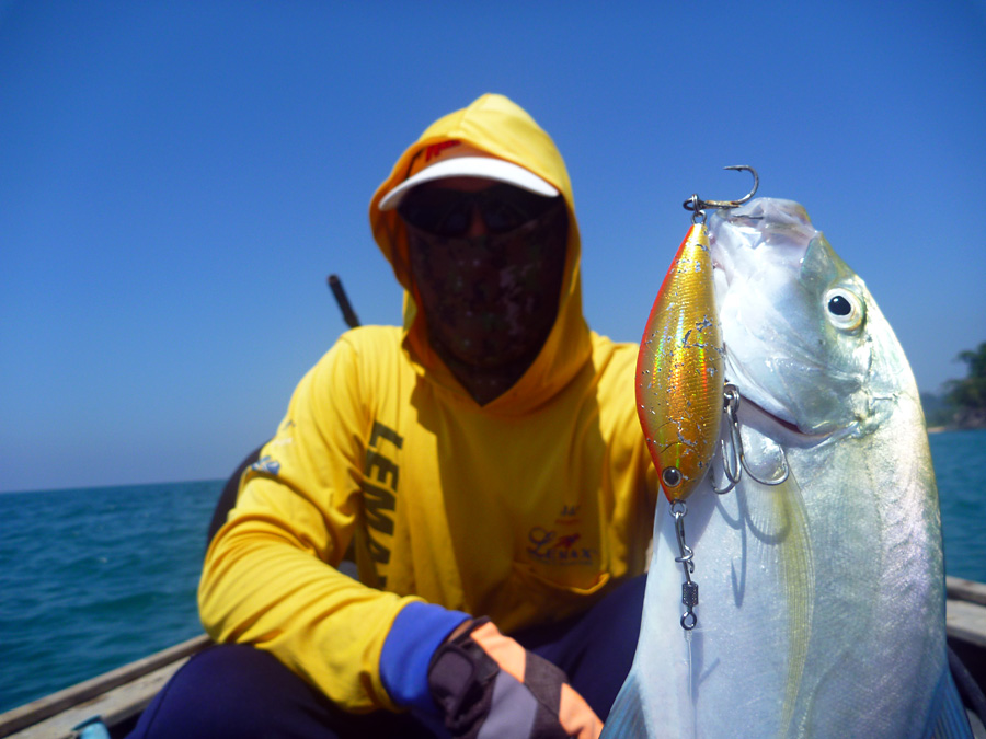  [center]กะมงครีบฟ้า Bluefin Trevally จากเหยื่อ TackleHouse RDC Sinking Shad 70mm[/center]