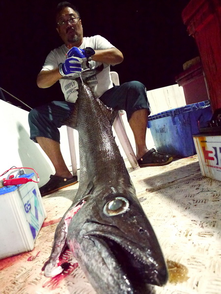 Oil Fish
เนื้อเป็นพิษกินไม่ได้ เค้าว่ามา