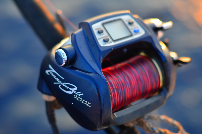 Daiwa