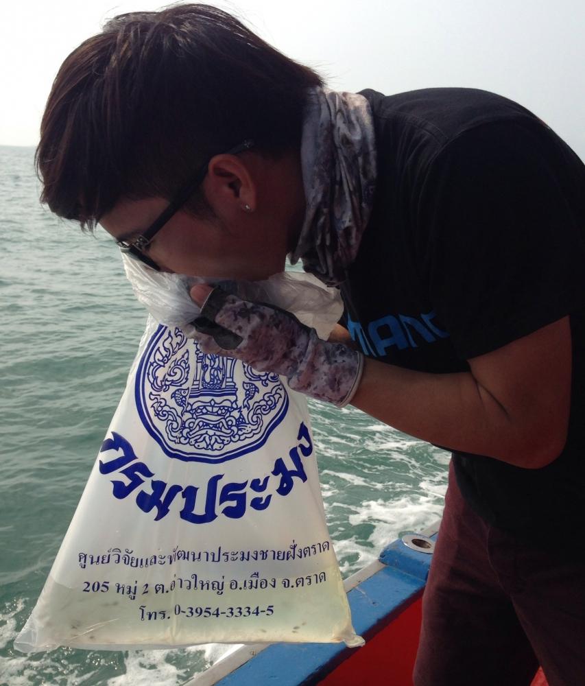 มีคนบอกว่าอาจโดนคลื่นลม เลยซ้อมท่าที่ถูกต้องไว้ครับ :laughing: :laughing: