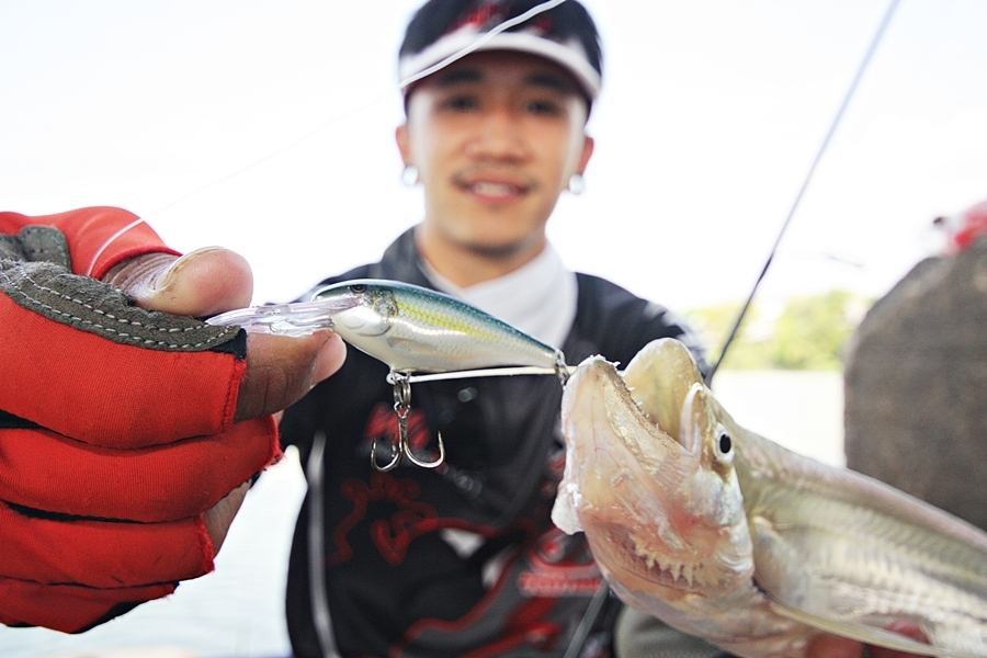 
 [center]
 [b]Hook : Mustad ULTRAPOINT รุ่น TG 76 BLN

Lure : RAPALA SHADRAP 5 cm. [/b]


 :