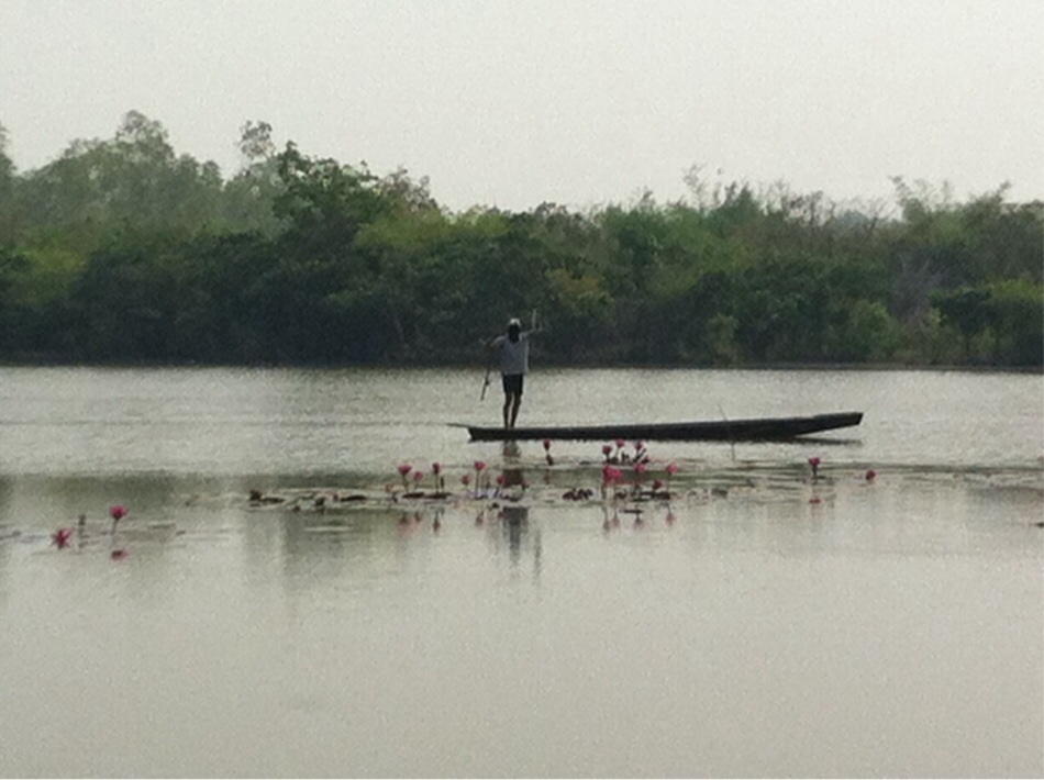 หลังจากนั้นพี่นะลงเรือไปหาตีกระสูบต่อโดยใช้ใบสปินทำเองครับ ผมขึ้นฝั่ง พี่แกลงเรือ 
>
>
>
ผมตีอยู