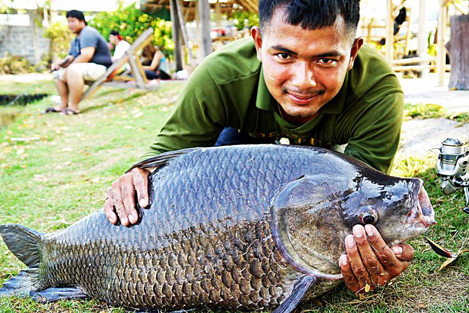 ทิ้งท้ายไว้กับเจ้าตัวปริศนาที่ดึงเซฟตี้หมดหลอด    :spineyes:  ต้องกลับมาแก้มือครับ... :angry:  สุดท้